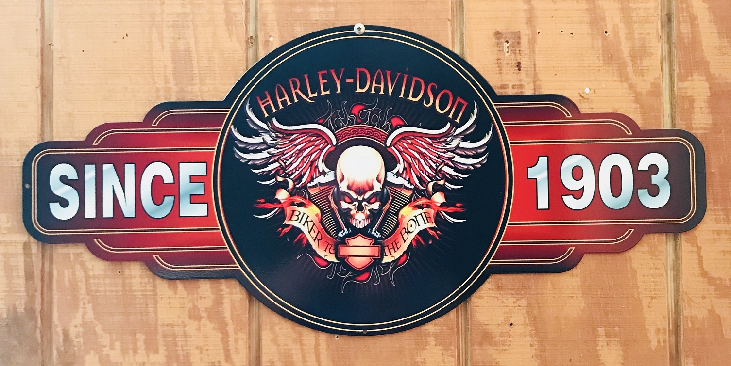 Harley Davidson Skull Sign