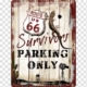 Route-66 Parking Tin Plate-Sign