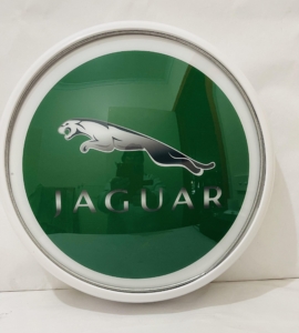 Jaguar (Green) Plastic Wall Mounted Light