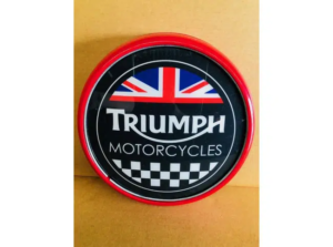 Triumph Plastic Wall Mounted Light