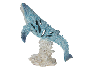 Whale With Blue & White Coral