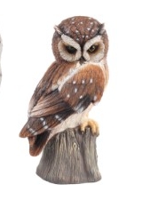 Brown Owl Sitting On Tree Stump