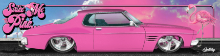 Holden Strike Me Pink Bar Runner