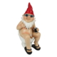 Rude Naked Gnome Sitting On Toilet